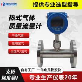 热式气体质量流量计空气风速量氮氧氩氨氢氟插入式数显流量传感器
