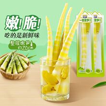 贤哥30g一根嫩笋盒装笋尖尖山椒笋泡椒脆笋小店超市爆卖零食批发