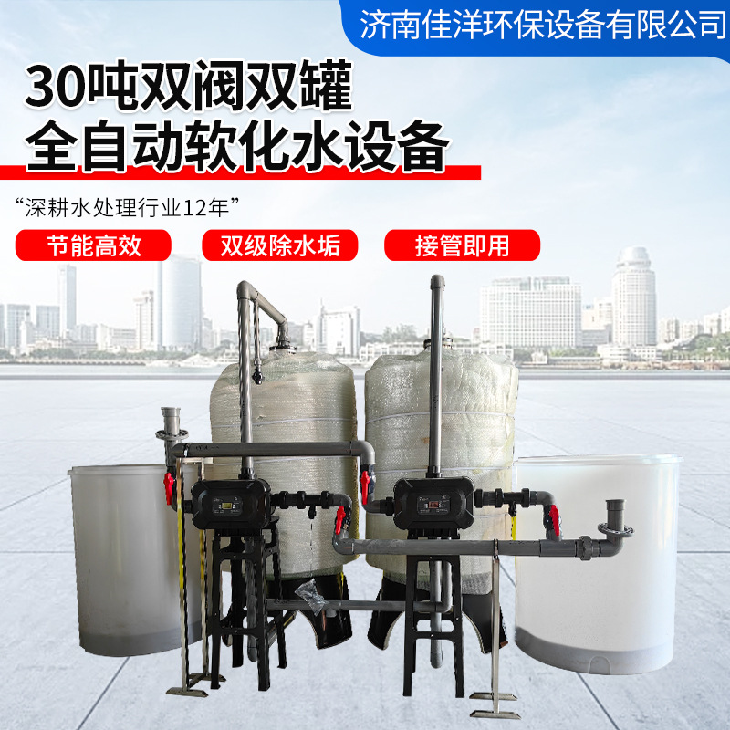 30吨双阀双罐小型工业锅炉软水器地下水除垢设备全自动软化水设备