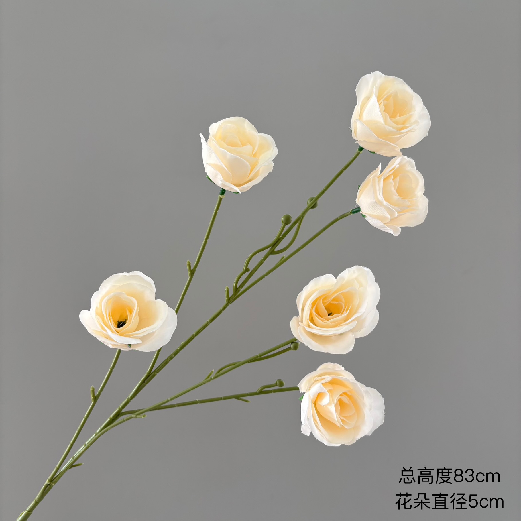 절묘한 장미 6송이
