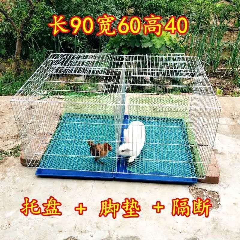 dca4303a-4992-43a1-9c3c-1d9b6f4557c9.jpe