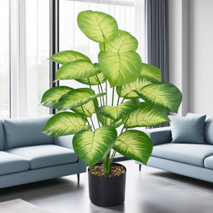 �����Gֲ24�^�ָ��z�~����Gֲ�G�}�~�^�z�����Թ�ˇƷ�S��ֱ�N