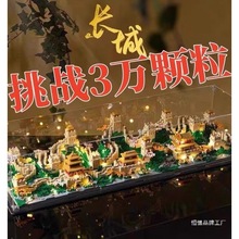 �f���L������һ���ݘ��߷eľ΢�w����ͯ���y�Ⱦ޴�������ƴ�b���