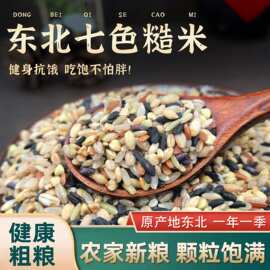 东北七色糙米当季新米五谷杂粮低脂轻食代餐杂粮米粥粗粮杂粮组合
