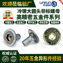 冷墩加工大圆头非标件 多功位冷镦大直径螺母T形复杂异型螺母加工