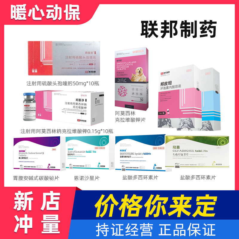 联邦阿莫西林克拉维酸钾犬猫通用感冒药咳嗽打喷嚏头孢氨苄片