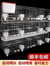 ���ӻ\���÷�ֳ�䌦�\����\�B���ӌ��ô�̖�����Bֳ�\Ԫ�����\