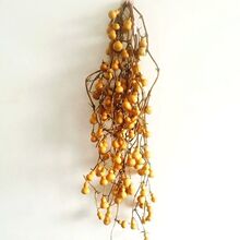 �S��ֱ�N��Ȼ���J �����������J�� �Ҿ��b�Ʒ �����B֦�B��С��