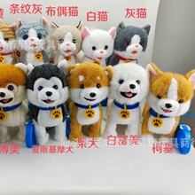 �羳USB��늿�ë�q���๷���򹷕�������·�|�������з�����߹�