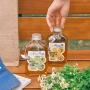 一次性500ml透明塑料奶茶瓶
