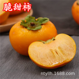 ����R���޽ӟo�˻𾧹����Ә����ϱ���ͥԺ�̨���� �O���� �Y��