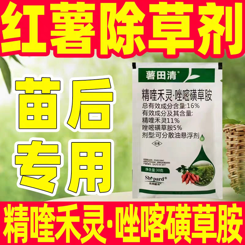 Special Herbicide for Sweet Potato Seedlings 16% Pyraclostrobin, Pyrimethrin, and Glufosinate for Post-Emergence Weeding of Sweet Potatoes, Red Sweet Potatoes, and Peas Special Herbicide for Sweet Potato Seedlings 16% Pyraclostrobin, Pyrimethrin, and Glufosinate for Post-Emergence Weeding of Sweet Potatoes, Red Sweet Potatoes, and Peas