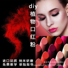 1���b��ɫ���ڼt��ֲ����ֹ�diy�ڼt����ɫ�۽z�q��