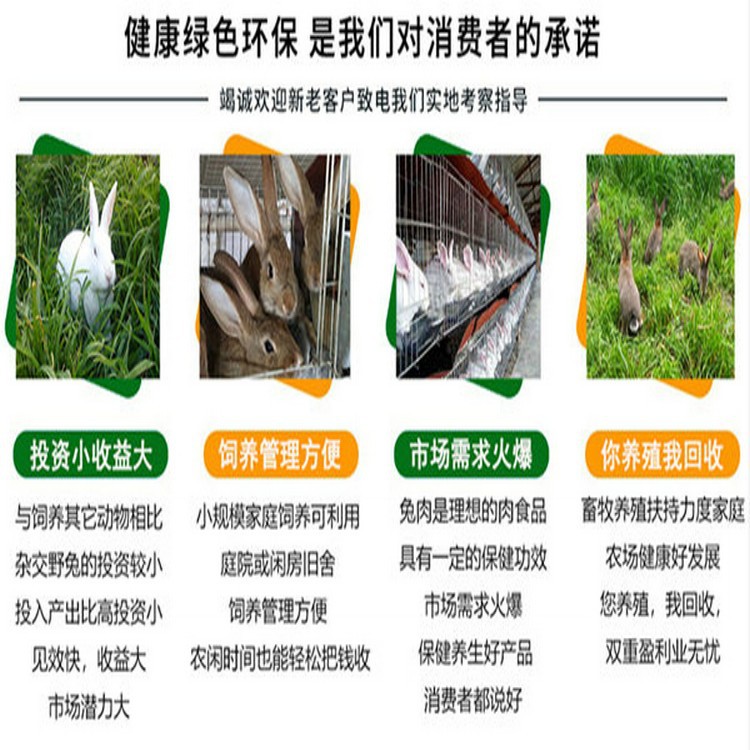 conew_b_1260965202101102046009