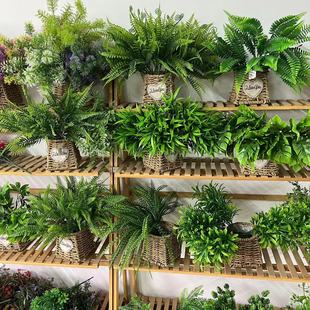 �S�ҟ��N����С�ѾGֲ��ȫ ���ˮ���ֹ�����DIY�ɫ���̾G���b�