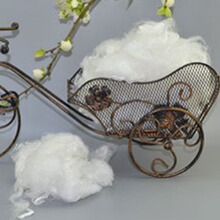 �S��ֱ�����S���w��ɫPP�� 1.1D��z���޻�ԭ���޼Ҽ���о�����