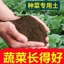 花土阳台种菜土土菜肥花泥透气种植土壤通用蔬菜土跨境分销