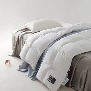National Standard Large 95 down Quilt, 100% Cotton, 180 Thread Count, Thickened Winter Quilt, White Goose down Core, 98 Hanging Velvet, Pure Cotton Spring and Autumn Quilt