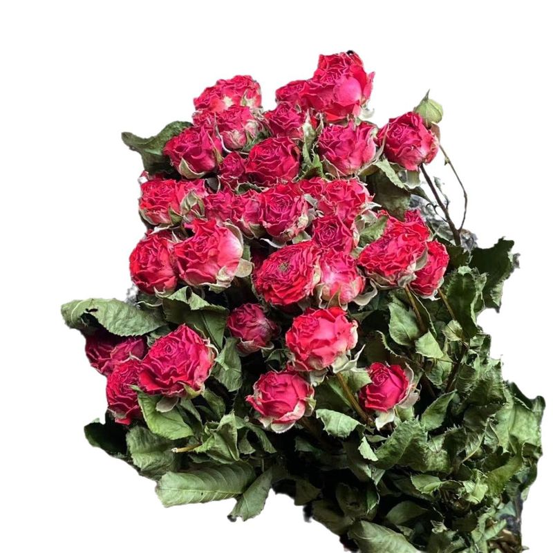 多頭バラ泡薔薇乾花薔薇花束雲南乾花滴糊花フォトフレーム花材補助材飾り|undefined