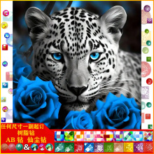 ���ﱪ���ʯ��5D���|AB�ɉm��֬��ֹ�ճ�N�ʯ�̽��b�