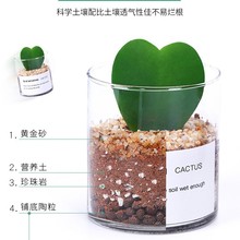 ����ֲ����������������������Сֲ�﹤λ����Gֲ�Gֲ����ȩ����