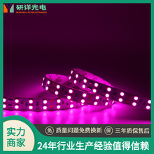  5050ɫܛl 60 NƬ dc12v led׹ܟ