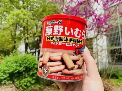 Fujino Ichimura sea salt Japanese round finger biscuits coconut milk roll chocolate roll Hokkaido shrimp crackers canned