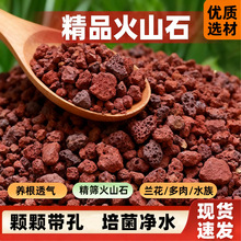 黑色大颗粒火山岩大袋批发基地直发多肉铺面鱼缸造景过滤火山石