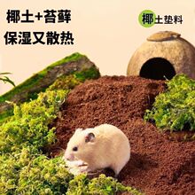 Ҭ���}��Ҭ�u�|�Ͻ�z��С�����쾰̦�\��ɳ��������|�ς}��̦�\