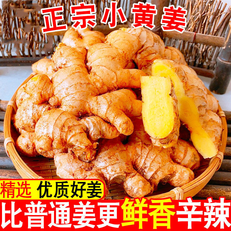 Yunnan Alpine Turmeric fresh ginger find tender ginger Ginger The month