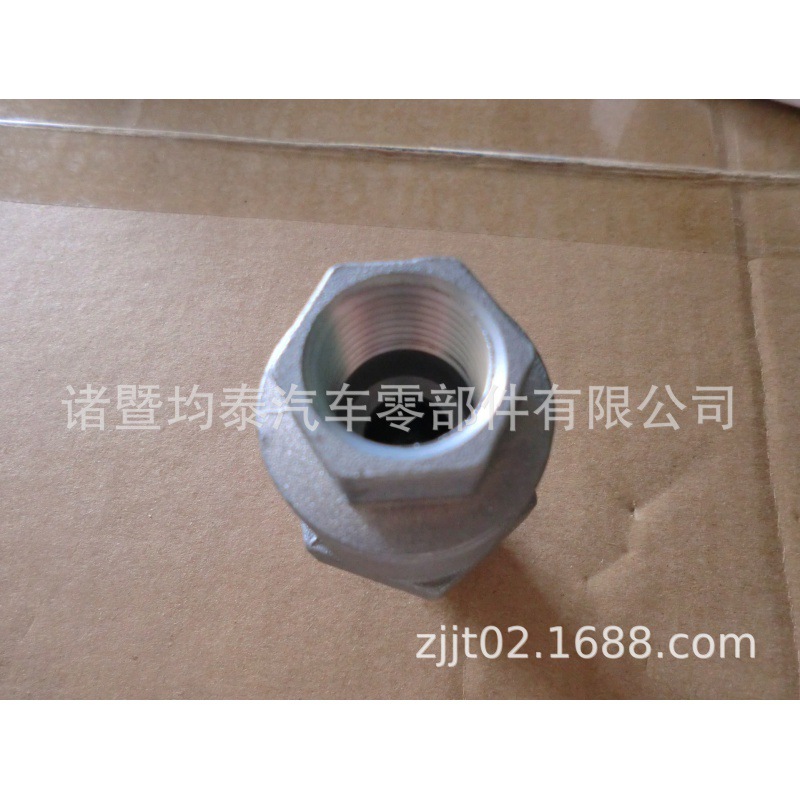 Válvula de retención 10200 piezas europeas del autobús del camión pesado