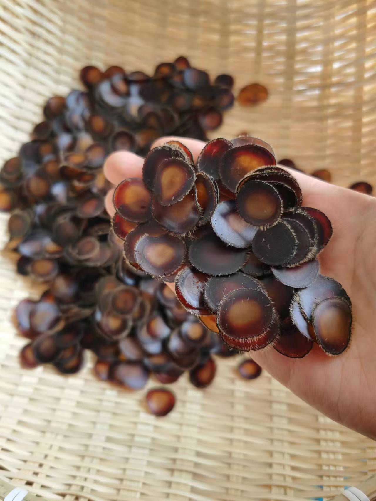 微信图片_202303200907191