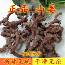 山姜  箭杆风 山栀山姜 九姜连 九龙盘 500克包邮真货好货