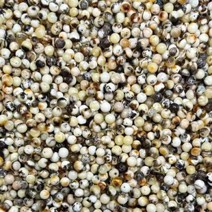 Wholesale beeswax Oreo porcelain white flower wax beads diameter 5mm Oreo white grain DIY explosions