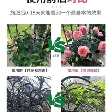 ͥ@ˇ@LЧֲIBͨͻˮ໨ЙC