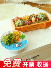 �����ײͺ������҃����ԽM������������diy�k����С�Gֲ������