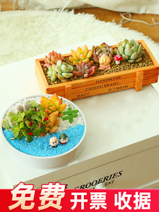 �����ײͺ������҃����ԽM������������diy�k����С�Gֲ������