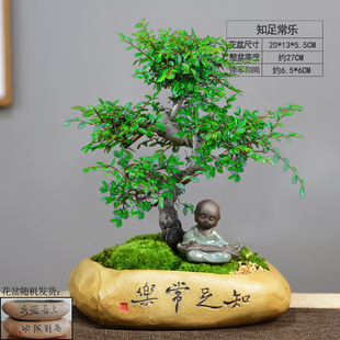 ����С�~�ܘ��辰�Ϙ����������҃�ֲ���k���͏d�ļ����໨�ܾGֲ