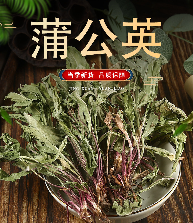 Wild Dandelion Whole Herb Tea 250g Pu Gong Ying Dried Taraxacum officinale for Herbal Infusions quality and texture