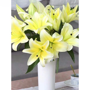 ��ˮ�ٺϻ����^�r������������جF��ֱ�lˮ�B�r���滨����л�