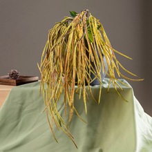 �����L���Ǹ׶����������b��ָ�ֲ��ɭϵ�쾰��픠����b�ֲ��