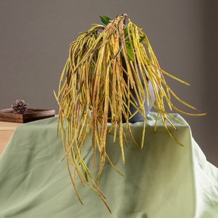 �����L���Ǹ׶����������b��ָ�ֲ��ɭϵ�쾰��픠����b�ֲ��