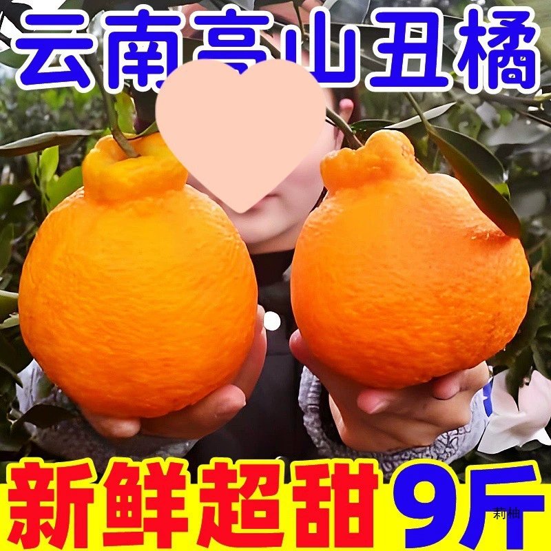 Юньнань Фую Мандарины 5kg Свежие фрукты Сезонные целые коробки Бесплатная доставка Прямая продажа