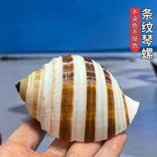 ��Ȼؐ�����ݗl�y�����~��ˮ�����b�Ʒ�ҾӔ[���ľ�з��Q��
