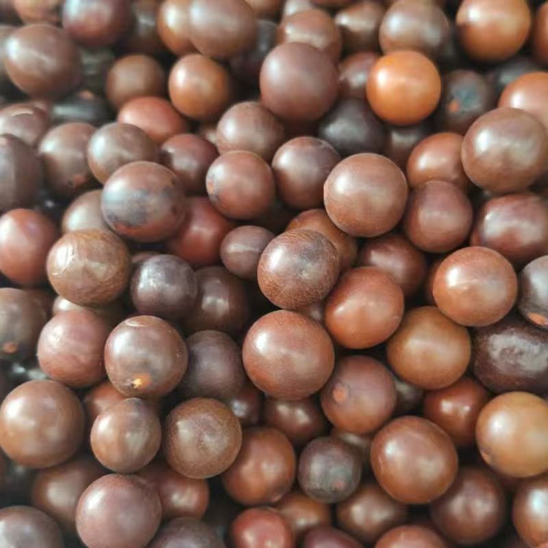 Sun Fruit (Tai Yang Guo) — Dried Food Herb for Cooking & Herbal Soups, 500g overview