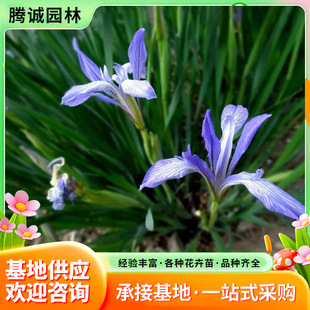 �R�A�R�m���Rɏ�ļ��׷N�@�־G���̨����ͥԺ�����ͺ��ͺ��޸���