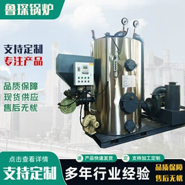 蒸汽发生器;燃煤锅炉;不脱硫除尘