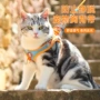 反光背心式透气宠物遛猫绳