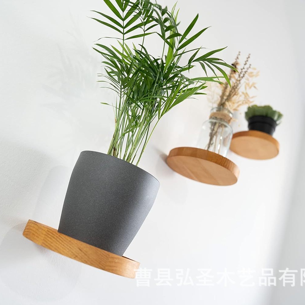 Estante de pared de madera, sala de estar, dormitorio, jarrón hidropónico, estante de pared de almacenamiento decorativo, estante de almacenamiento de madera montado en la pared circular