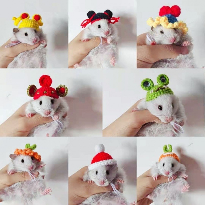 Hamsters Hat Sugar glider Watkins Bear Squid Guinea pigs Totoro photograph crochet hook Crochet Wool Pets Hat